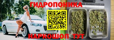 наркотики Будённовск